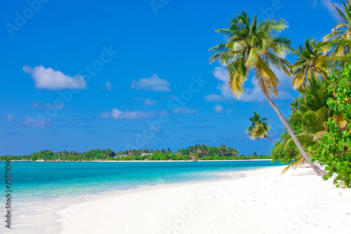 Photo: Holiday Paradise Holiday Paradise