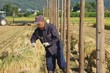 杭掛け