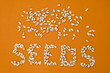 Seeds