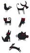 animaux