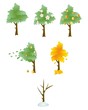 Set of tree