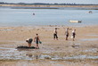 pêcheurs à pieds