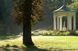 Tiefurter Park am Morgen III Tiefurter Park am Morgen III