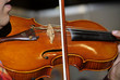 The violinist plays a violin close up The violinist plays a violin close up