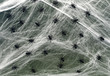 Black Spiders and Web Background.