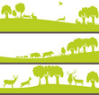 animaux sauvages ou gibier dans la nature # SP6443 animaux sauvages ou gibier dans la nature # SP6443