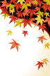 もみじ(maple leaves)