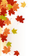 かえで(maple leaves)