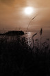 Photo: Tranquil Sunset Tranquil Sunset