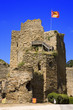 france,85,talmont saint hilaire : chateau féodal
