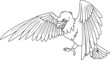 Adler