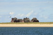 Sylt