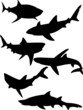sharks silhouette collection vector sharks silhouette collection vector