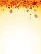 Autumn leaves background for your design