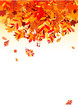 Autumn leaves background for your design