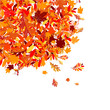Autumn leaves background for your design