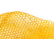 bee honeycomb