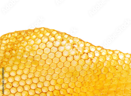 Foto: bee honeycomb bee honeycomb