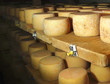 domestic cheese