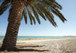 vacaciones en la playa