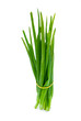 Bunch of green onion isolated on the white background Bunch of green onion isolated on the white background