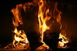Feu de bois