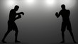 Video: Boxers Showdown Boxers Showdown