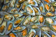 Oyster Platter Oyster Platter