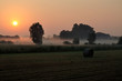 Alba nebbiosa