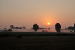 Nebbia mattutina