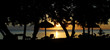 Beach Sunset