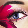 Photo: Beautiful Eye Beautiful Eye