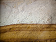 Surface of sandstone