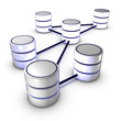 Network database with wired data cables interconnections