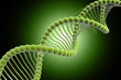 DNA