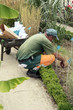 jardinier  au travail