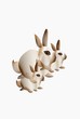 Abstract bunny rabbits