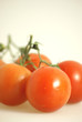 Tomaten