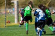 Shot on Goal