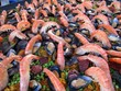 Paella au marché