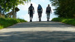 3 wanderer