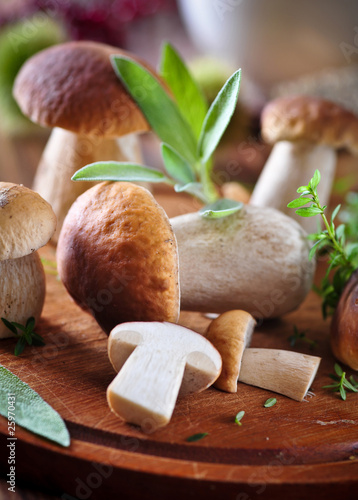 Photo: frische steinpilze 2 frische steinpilze 2