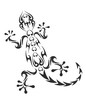 vector gecko tattoo isolated on withe background vector gecko tattoo isolated on withe background