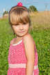 Photo: The little girl in a pink dress The little girl in a pink dress