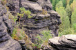 Bielatal - Biela valley 09