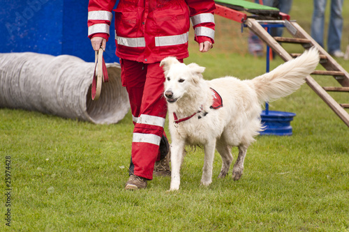 Photo: Rettungshund Rettungshund