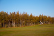 PA-22 on Takeoff