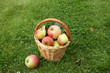 apples