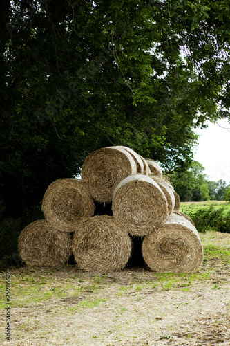 Photo: Bales of hay stacked up Bales of hay stacked up