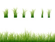 Green grass collection Green grass collection